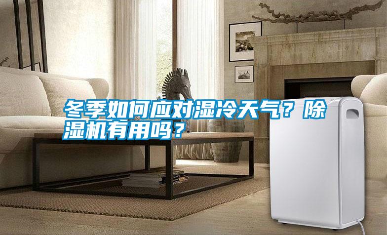 冬季如何應(yīng)對濕冷天氣？除濕機(jī)有用嗎？