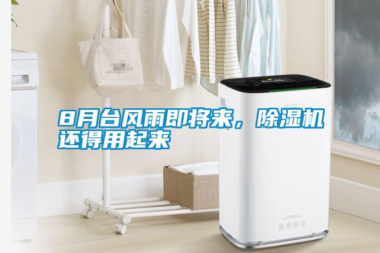 8月臺風雨即將來,除濕機還得用起來