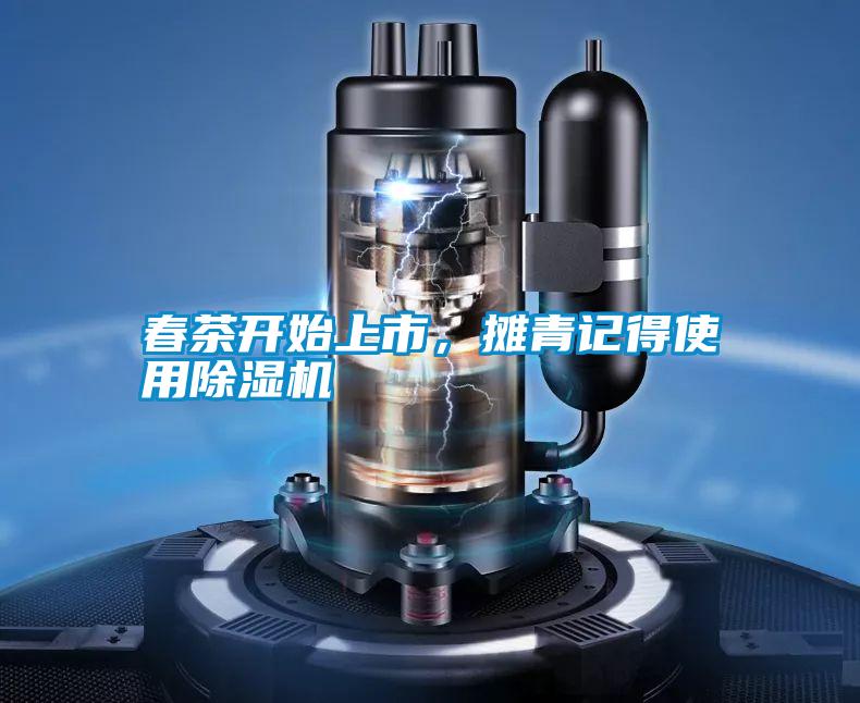 春茶開始上市,攤青記得使用除濕機