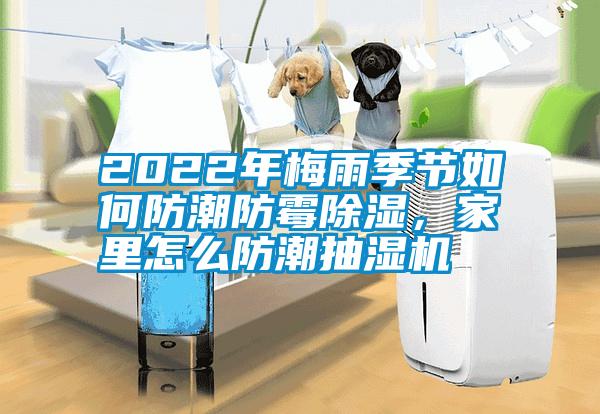 2022年梅雨季節如何防潮防霉除濕,家里怎么防潮抽濕機