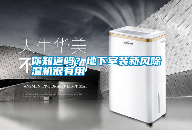 你知道嗎?地下室裝新風(fēng)除濕機(jī)很有用