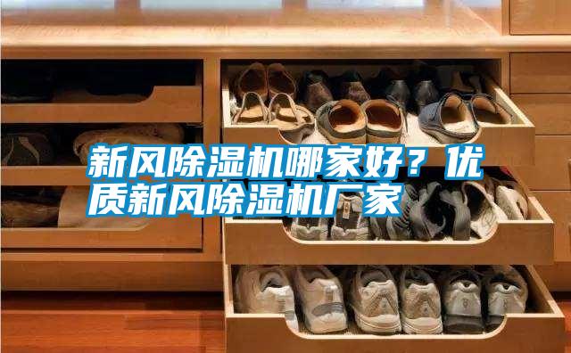 新風(fēng)除濕機(jī)哪家好？優(yōu)質(zhì)新風(fēng)除濕機(jī)廠家