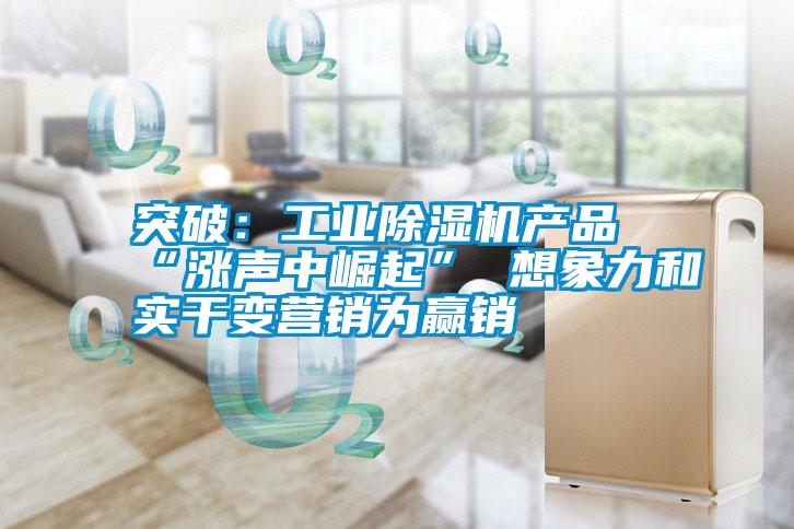 突破：工業(yè)除濕機(jī)產(chǎn)品“漲聲中崛起” 想象力和實(shí)干變營(yíng)銷(xiāo)為贏銷(xiāo)