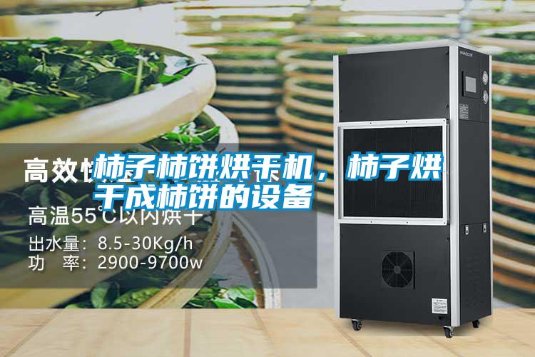 柿子柿餅烘干機，柿子烘干成柿餅的設備