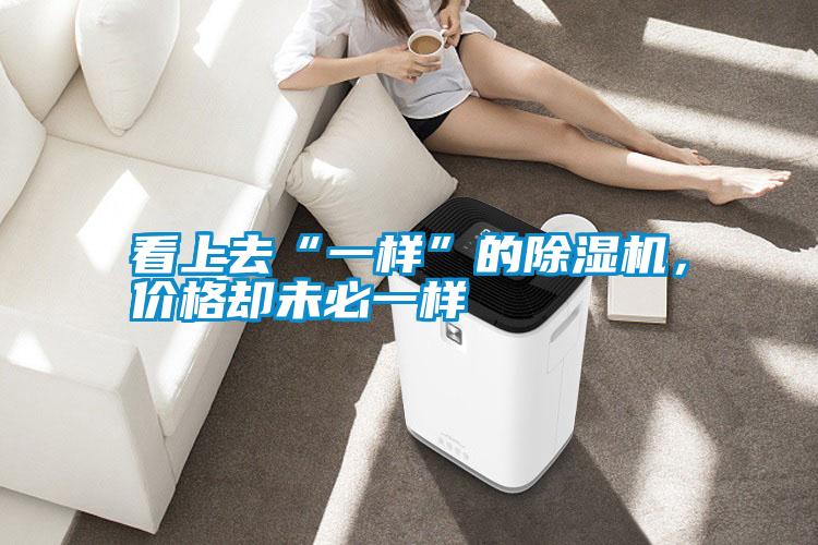 看上去“一樣”的除濕機,價格卻未必一樣