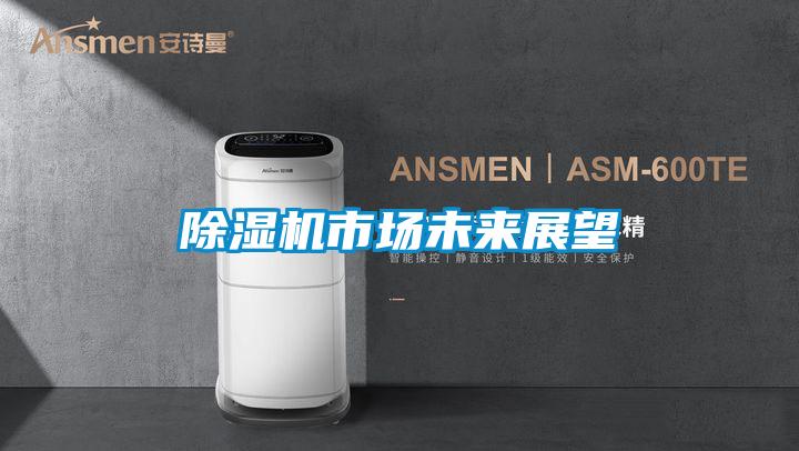 除濕機(jī)市場(chǎng)未來展望