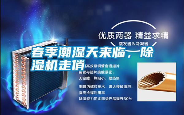 春季潮濕天來臨,除濕機(jī)走俏