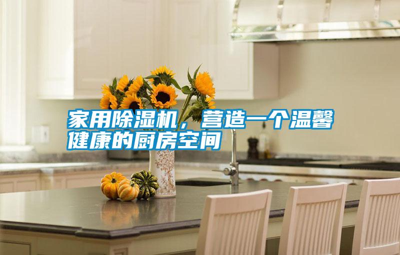 家用除濕機，營造一個溫馨健康的廚房空間