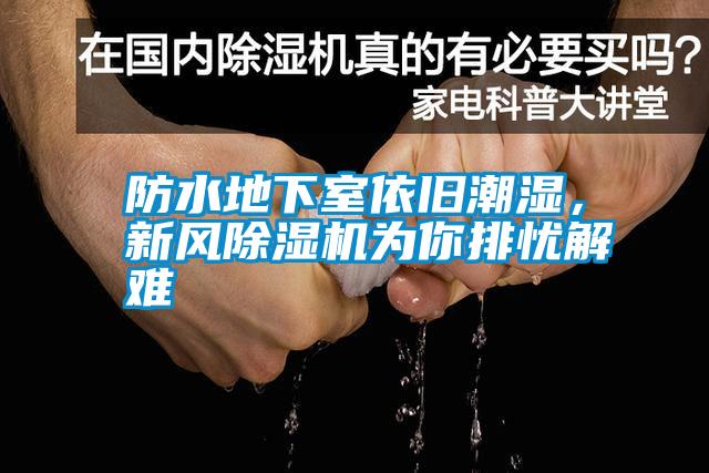 防水地下室依舊潮濕，新風除濕機為你排憂解難