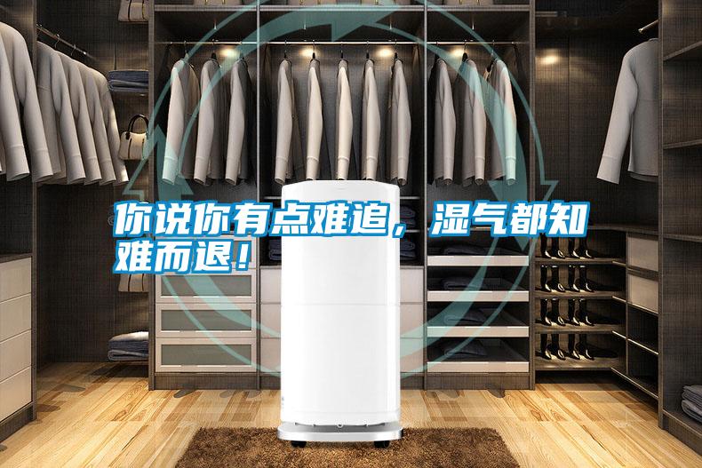 你說你有點難追,濕氣都知難而退!