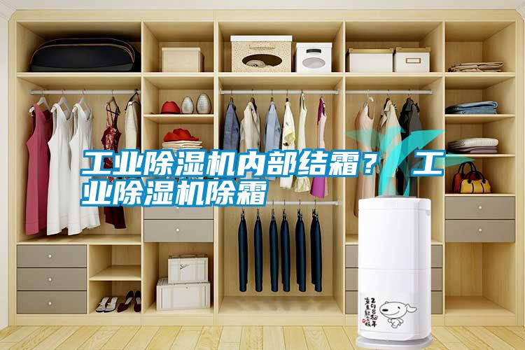 工業除濕機內部結霜？ 工業除濕機除霜