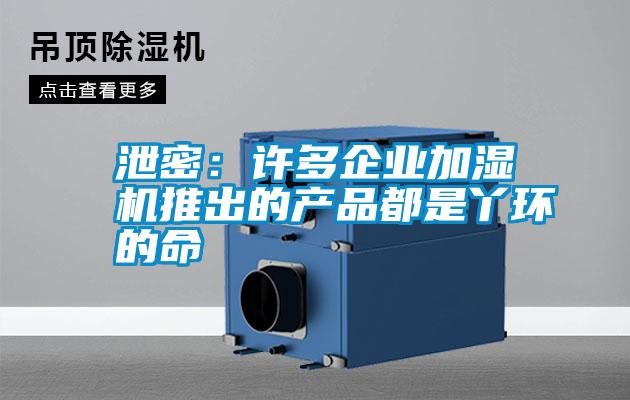 泄密:許多企業加濕機推出的產品都是丫環的命