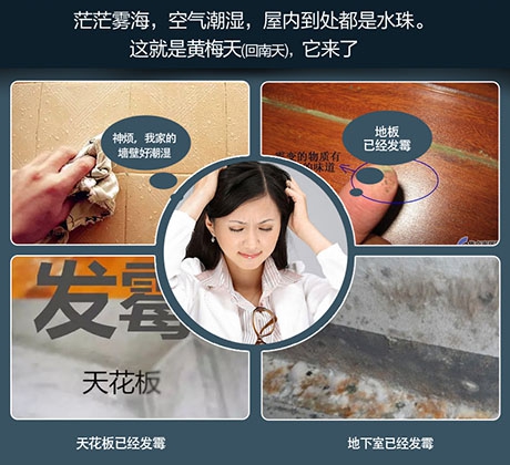 加濕器與除濕機:生活中更需要哪一個?_除濕機廠家