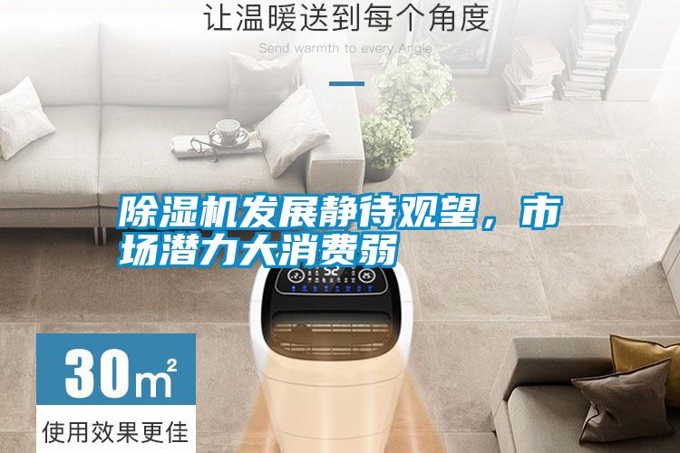 除濕機發(fā)展靜待觀望，市場潛力大消費弱