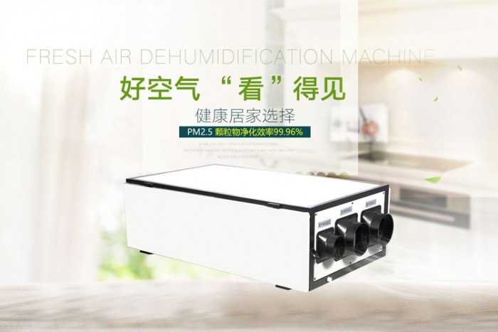 家用除濕機減少夏季悶熱，防止疾病