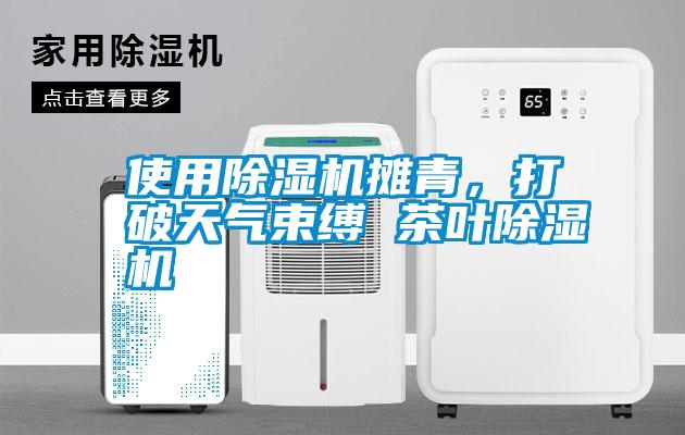 使用除濕機(jī)攤青，打破天氣束縛 茶葉除濕機(jī)