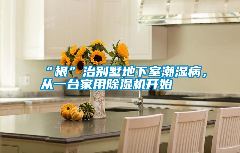 “根”治別墅地下室潮濕病,從一臺家用除濕機(jī)開始