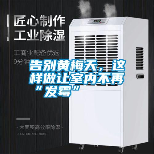 告別黃梅天,這樣做讓室內(nèi)不再“發(fā)霉”