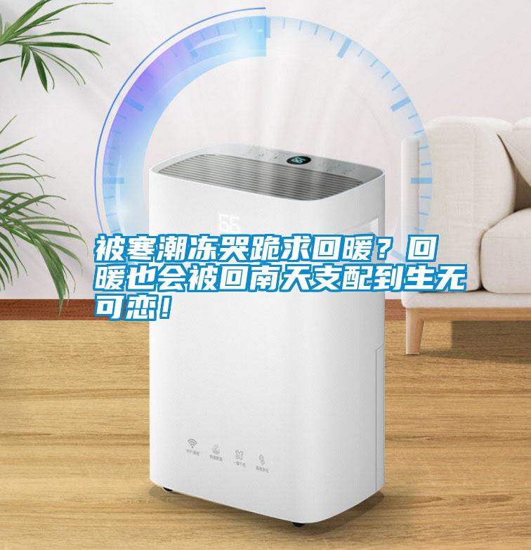 被寒潮凍哭跪求回暖？回暖也會(huì)被回南天支配到生無可戀！