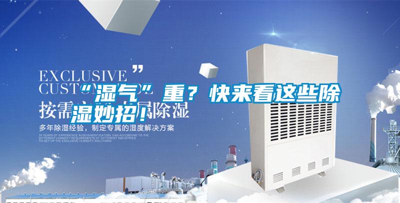 “濕氣”重？快來看這些除濕妙招！