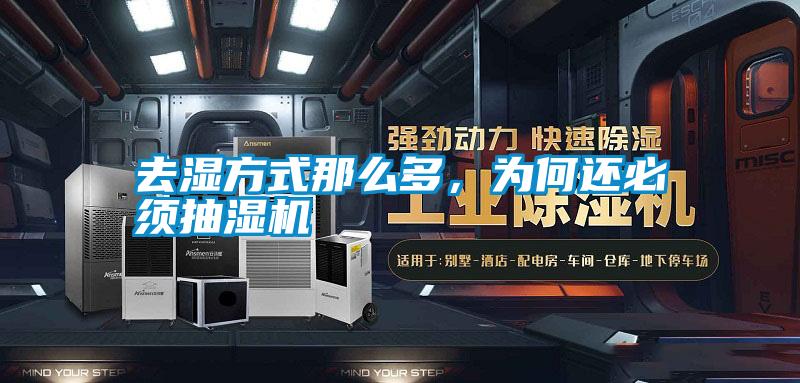 去濕方式那么多，為何還必須抽濕機(jī)