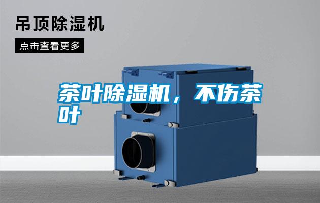 茶葉除濕機，不傷茶葉