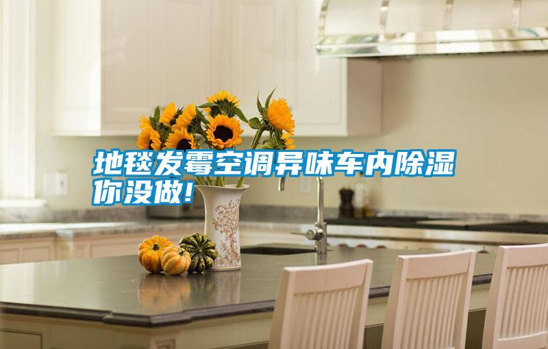 地毯發(fā)霉空調異味車內除濕你沒做!