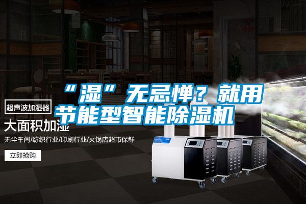 “濕”無忌憚？就用節能型智能除濕機