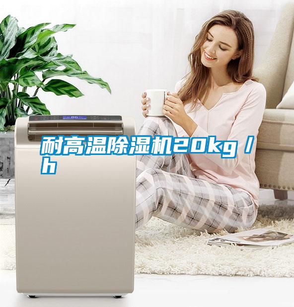 耐高溫除濕機20kg/h