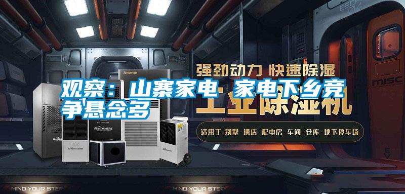 觀察：山寨家電 家電下鄉(xiāng)競(jìng)爭(zhēng)懸念多