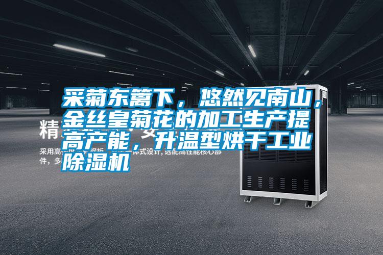采菊東籬下,悠然見(jiàn)南山,金絲皇菊花的加工生產(chǎn)提高產(chǎn)能,升溫型烘干工業(yè)除濕機(jī)