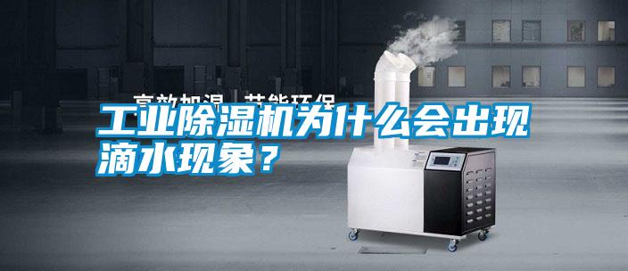 工業除濕機為什么會出現滴水現象?