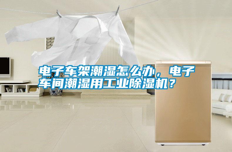 電子車架潮濕怎么辦，電子車間潮濕用工業除濕機？