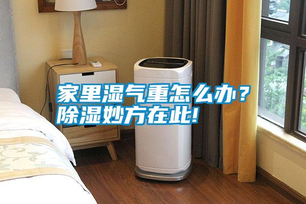 家里濕氣重怎么辦？除濕妙方在此!