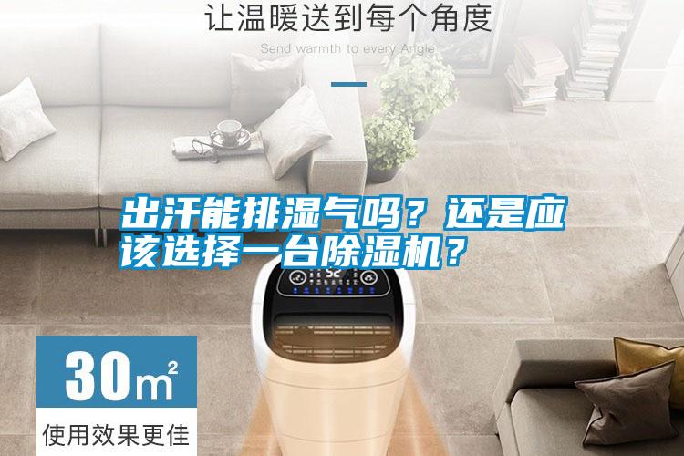 出汗能排濕氣嗎？還是應該選擇一臺除濕機？