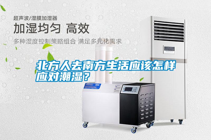 北方人去南方生活應該怎樣應對潮濕?