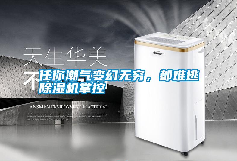 任你潮氣變幻無窮,都難逃除濕機掌控