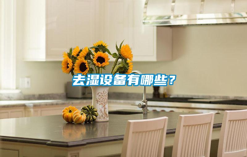 去濕設備有哪些？