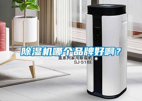除濕機哪個品牌好??？