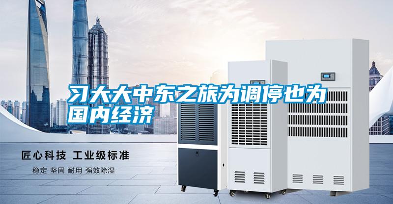 習大大中東之旅為調停也為國內經(jīng)濟