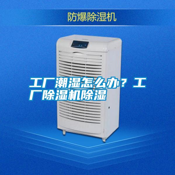 工廠潮濕怎么辦?工廠除濕機(jī)除濕