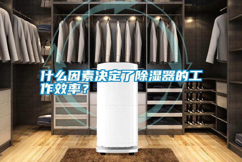 什么因素決定了除濕器的工作效率?