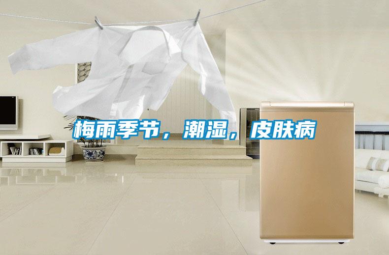 梅雨季節，潮濕，皮膚病