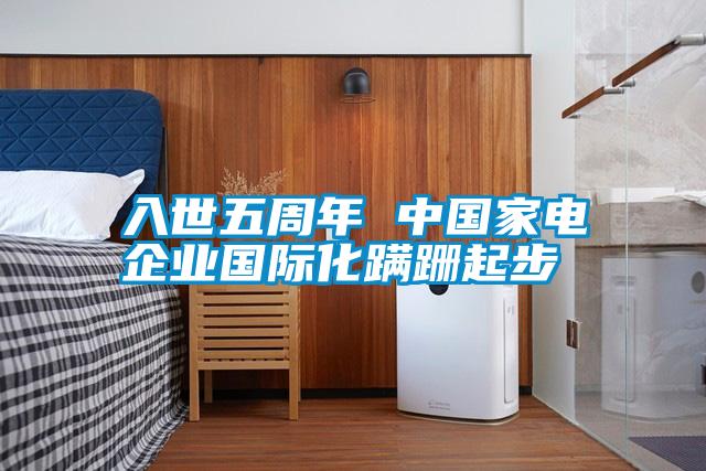 入世五周年 中國家電企業國際化蹣跚起步