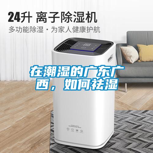 在潮濕的廣東廣西,如何祛濕