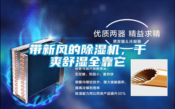 帶新風的除濕機，干爽舒濕全靠它