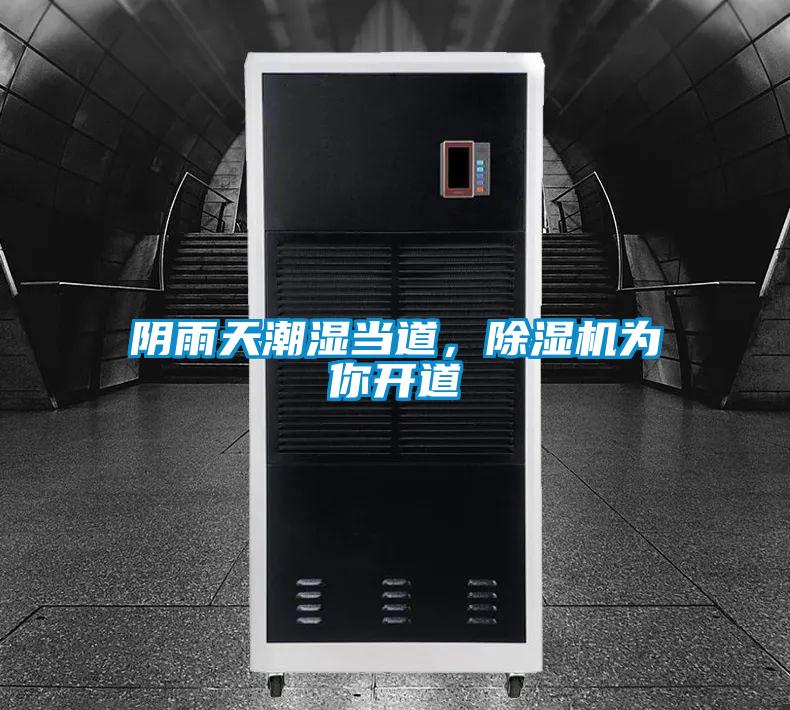 陰雨天潮濕當?shù)溃凉駲C為你開道