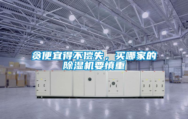 貪便宜得不償失，買哪家的除濕機要慎重