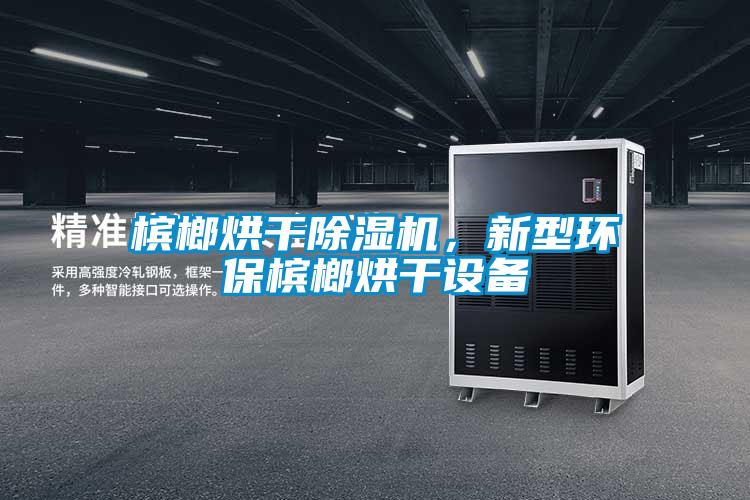 檳榔烘干除濕機，新型環(huán)保檳榔烘干設(shè)備