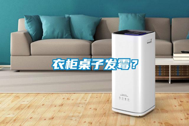 衣柜桌子發霉？